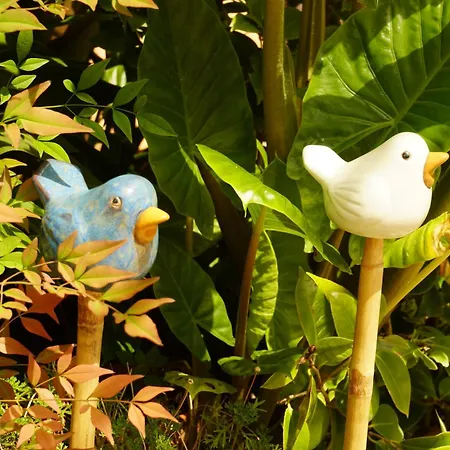 Πανσιόν Il Vialetto Cannara